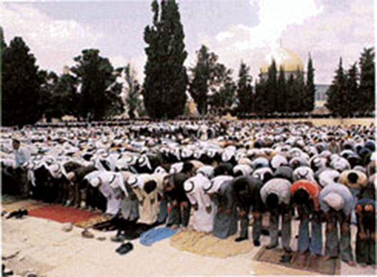 Muslims praying in Jerusalem